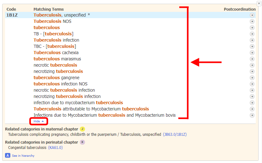 screenshot of Coding Tool entity details show all matching terms