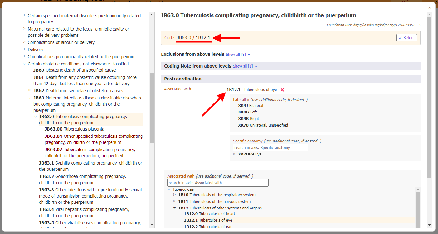 screenshot of Coding Tool for related categories in maternal chapter example
