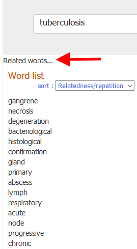 screenshot of Coding Tool related words